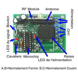 Telecommande 4 Canaux + Recepteur RF Système RC Sans Fil (Modèle 0020354)