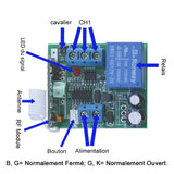 Récepteur Sans Fil CC 1 Canal 3 Modes Autoblocage Momentané Interblocage (Modèle 0020610)