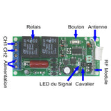 Récepteur Télécommande Sans Fil 2 Canaux Mode de Autoblocage Momentané Interblocage (Modèle 0020614)