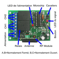 Récepteur Sans Fil CC RF à 2 Canaux avec Sortie de Relais à Contact Sec NO / NF (Modèle 0020063)