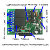 Récepteur Sans Fil CC RF à 2 Canaux avec Sortie de Relais à Contact Sec NO / NF (Modèle 0020063)