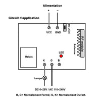 Récepteur Sans Fil CC 1 Canal 3 Modes Autoblocage Momentané Interblocage (Modèle 0020610)