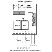 Récepteur Sans Fil CC RF à 2 Canaux avec Sortie de Relais à Contact Sec NO / NF (Modèle 0020063)