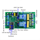 Kit Télécommande Sans Fil Moteur CA 220V 15A Mode Momentané Pour Contrôler 4 Moteurs CA (Modèle 0020211)