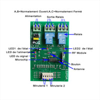100m Emetteur Récepteur Radio Etanche CA 220V 30A 2 Canaux Temporisation Adjustable 0 secondes~99 heures (Modèle 0020663)