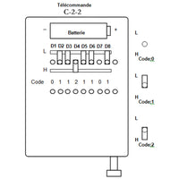 2 Boutons 100M RF Télécommande / Tmetteur Avec Couvercle Coulissant (Modèle 0021005)